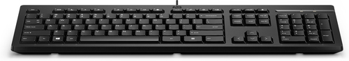 HP 125 Wired Keyboard - English QWERTY (EN)
